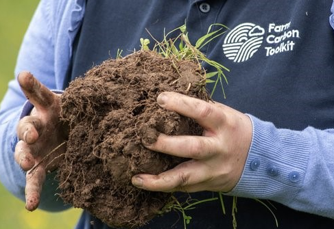 Soil in hands